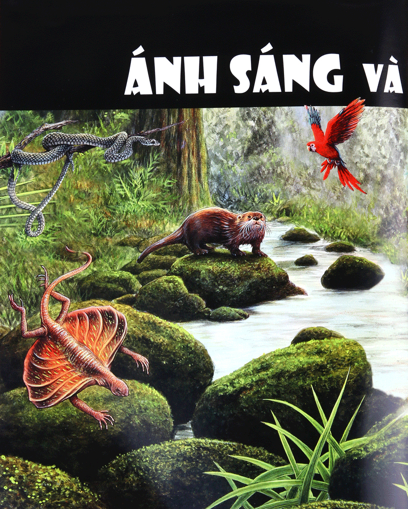 tủ sách thế giới động vật - giác quan và giao tiếp (hình minh họa 3d) - Ảnh 3
