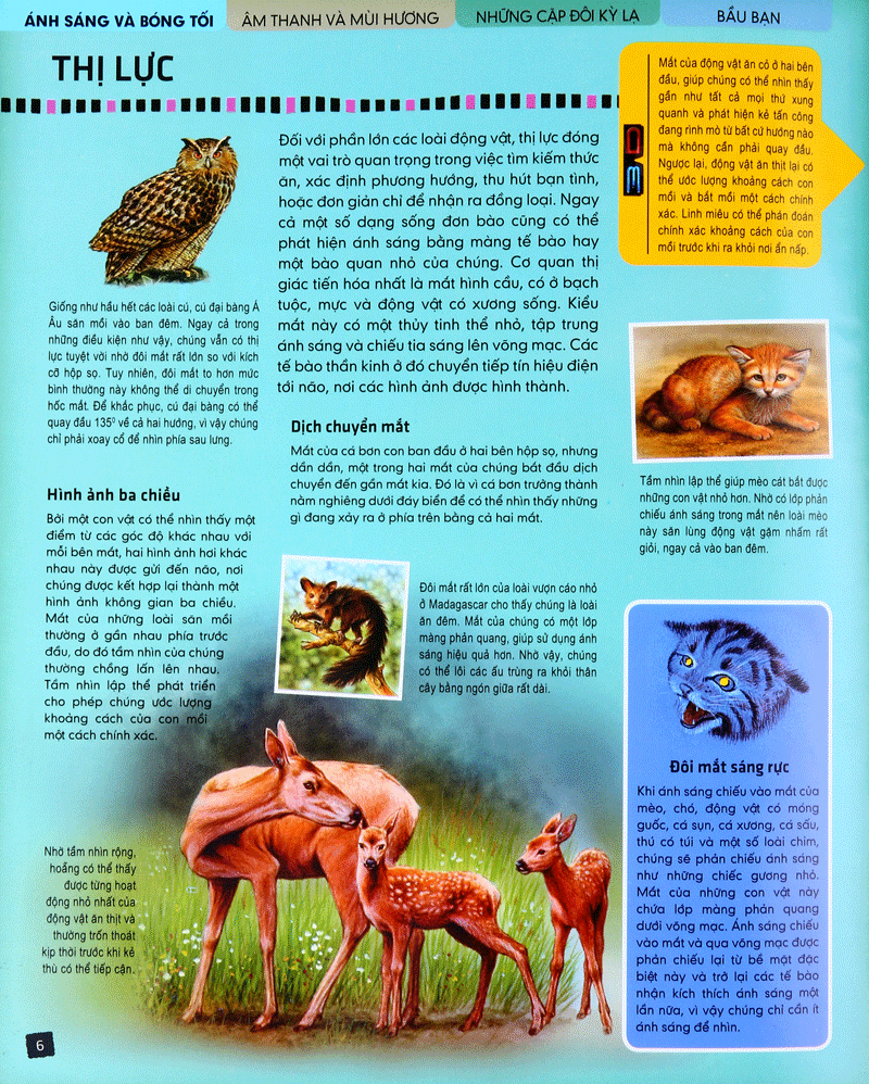 tủ sách thế giới động vật - giác quan và giao tiếp (hình minh họa 3d) - Ảnh 5