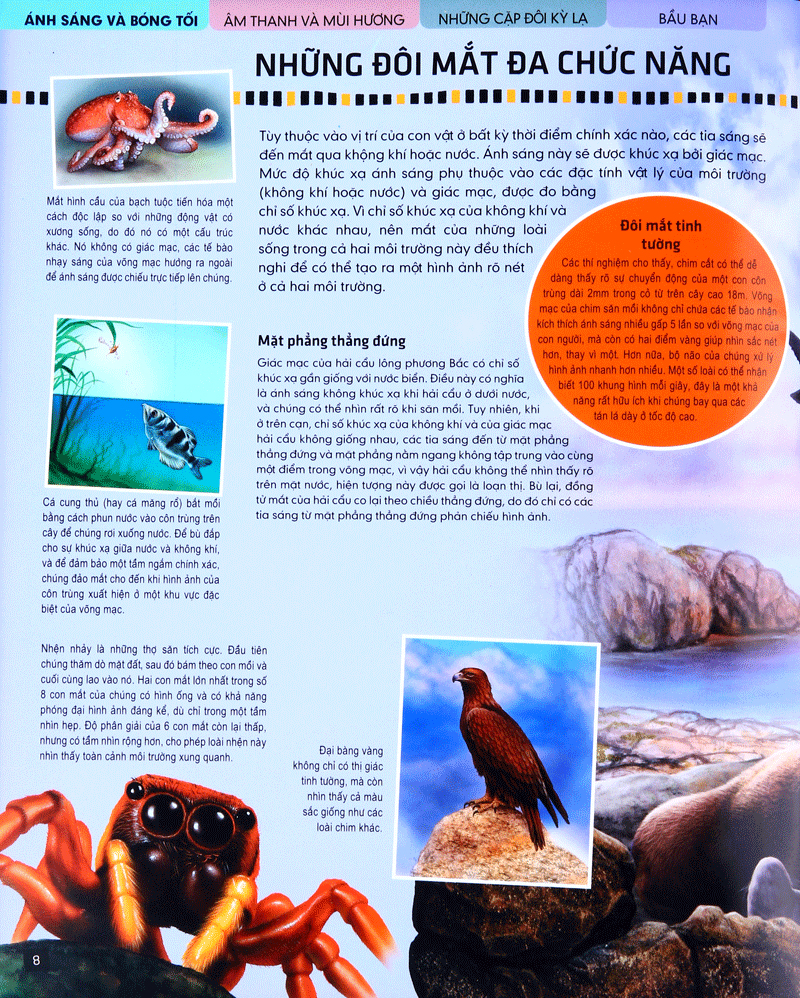 tủ sách thế giới động vật - giác quan và giao tiếp (hình minh họa 3d) - Ảnh 7