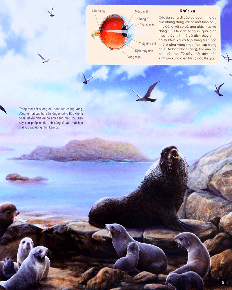 tủ sách thế giới động vật - giác quan và giao tiếp (hình minh họa 3d) - Ảnh 8