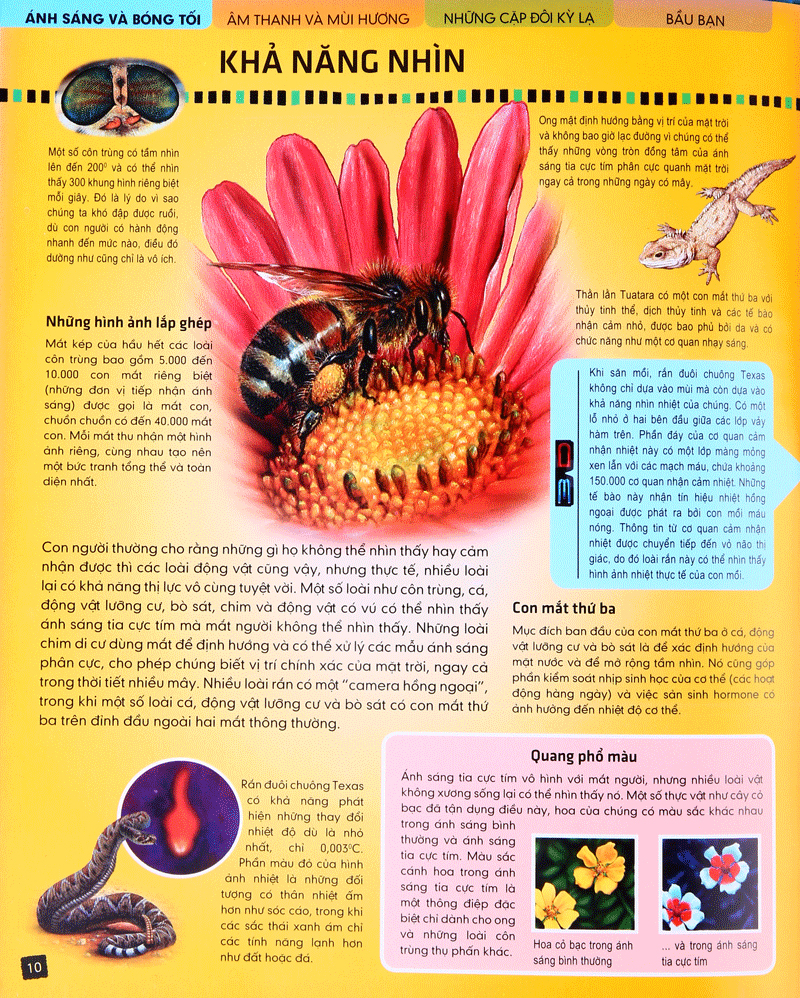 tủ sách thế giới động vật - giác quan và giao tiếp (hình minh họa 3d) - Ảnh 9