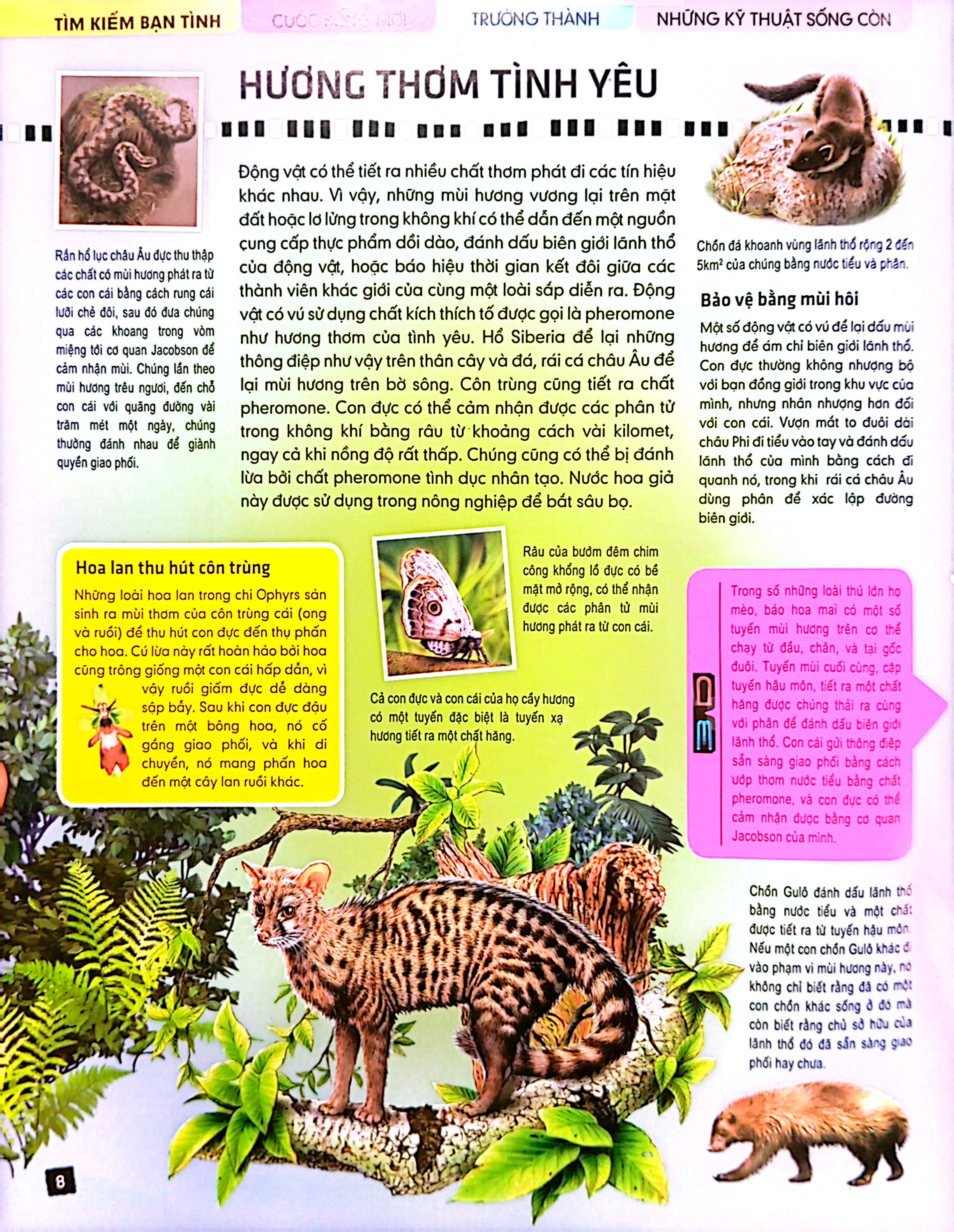 tủ sách thế giới động vật - kết đôi và sinh sản (hình minh họa 3d) - Ảnh 4