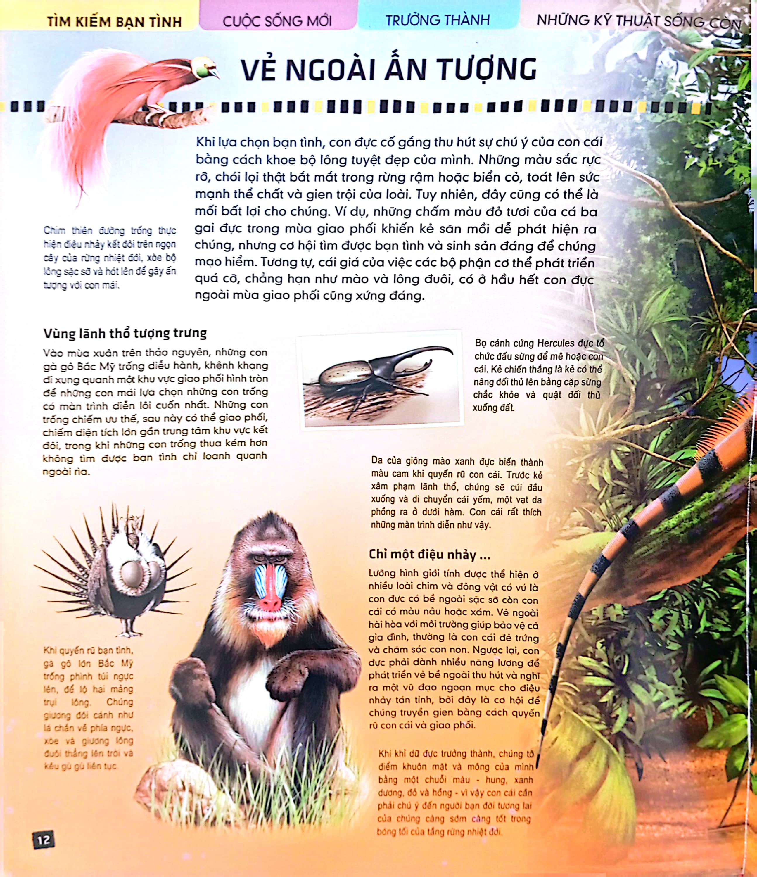 tủ sách thế giới động vật - kết đôi và sinh sản (hình minh họa 3d) - Ảnh 6