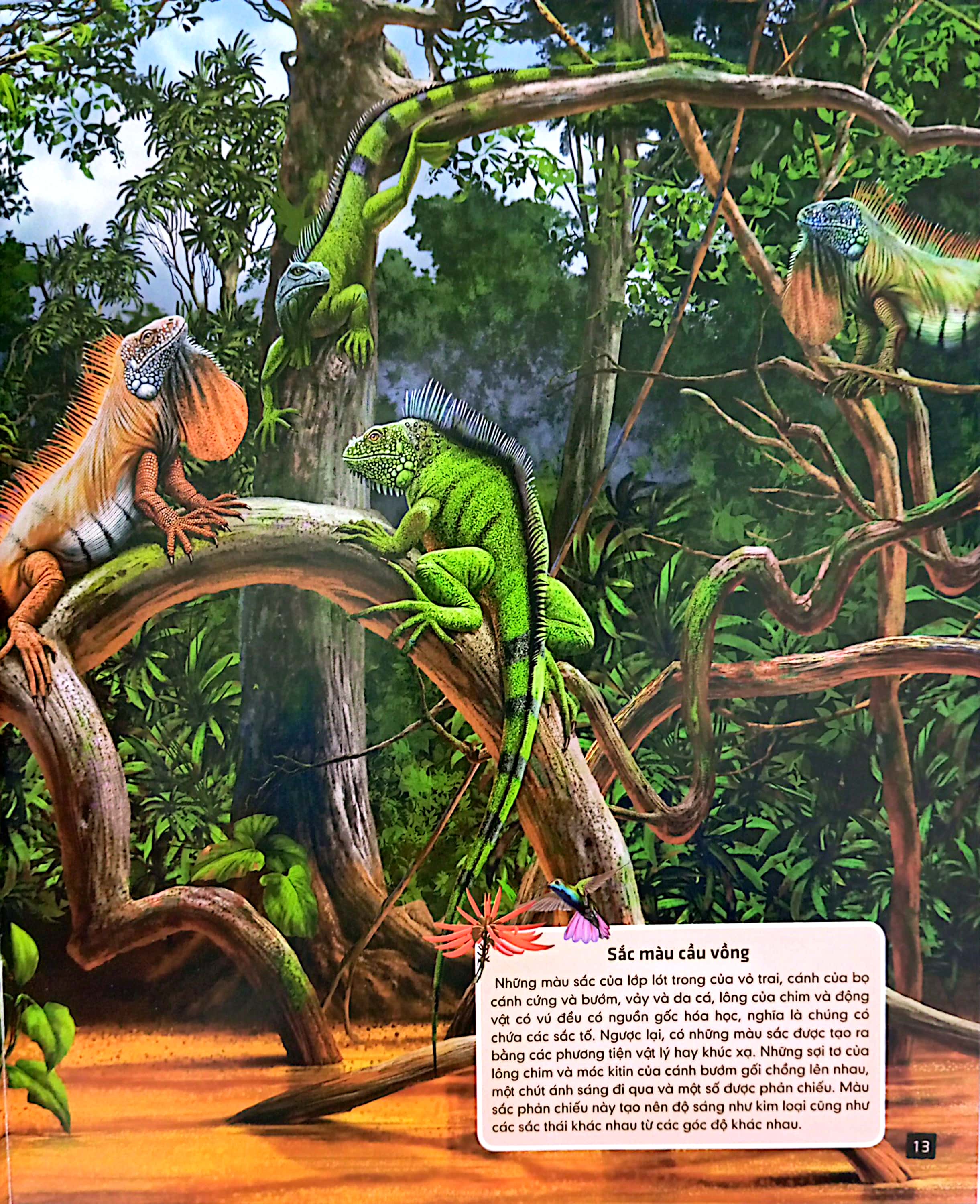 tủ sách thế giới động vật - kết đôi và sinh sản (hình minh họa 3d) - Ảnh 7