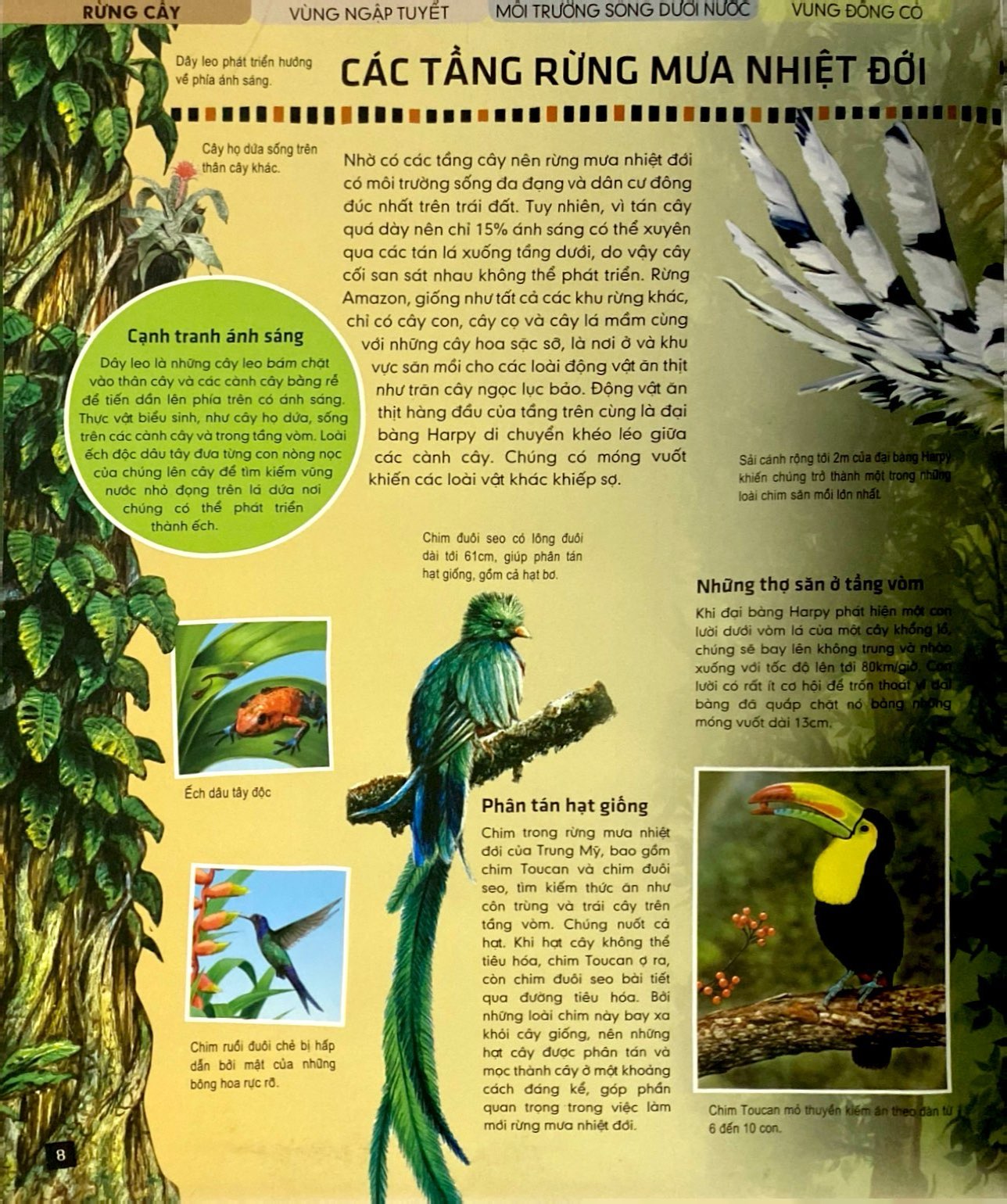 tủ sách thế giới động vật - nơi ở và thói quen (hình minh họa 3d) - Ảnh 5