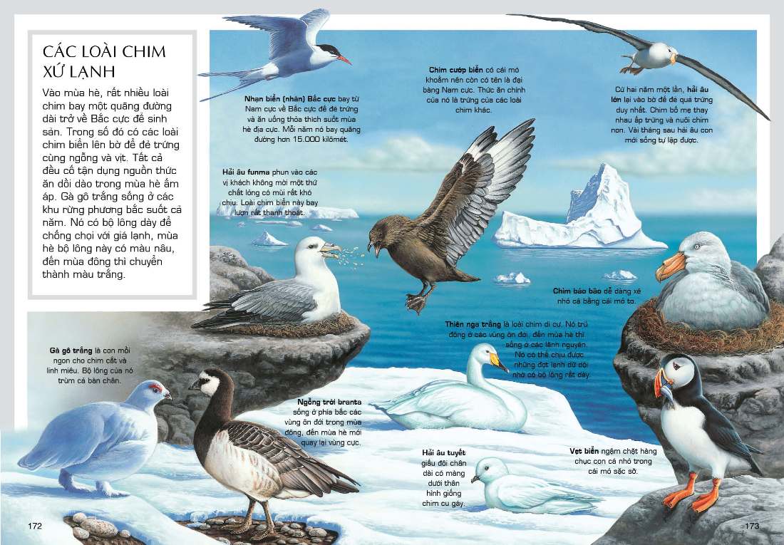 tủ sách tri thức bách khoa bằng hình - thế giới động vật (tái bản 2018) - Ảnh 4
