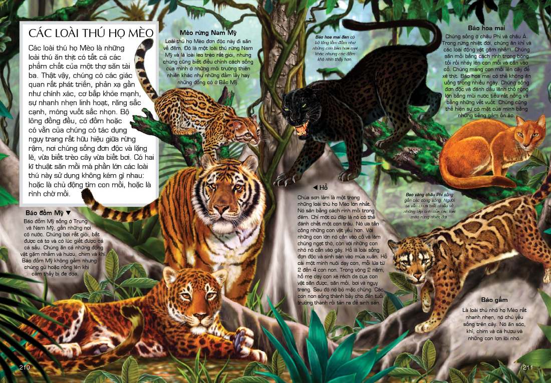 tủ sách tri thức bách khoa bằng hình - thế giới động vật (tái bản 2018) - Ảnh 5