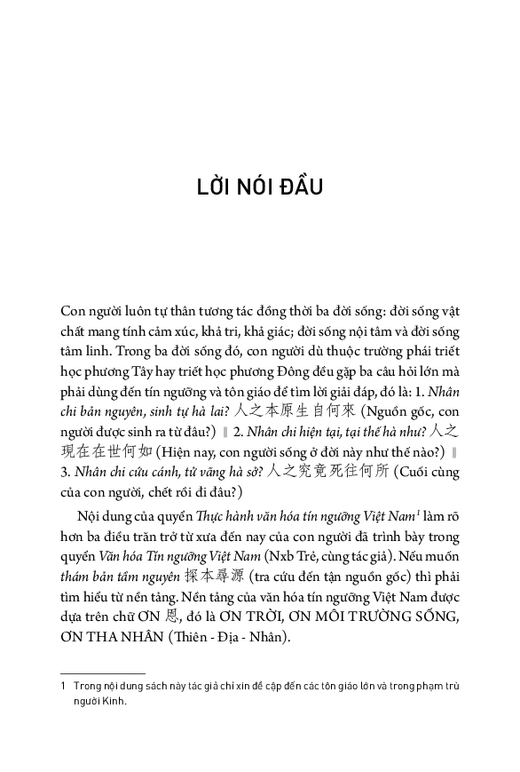 tủ sách triết học phương đông - thực hành văn hóa tín ngưỡng việt nam - Ảnh 7