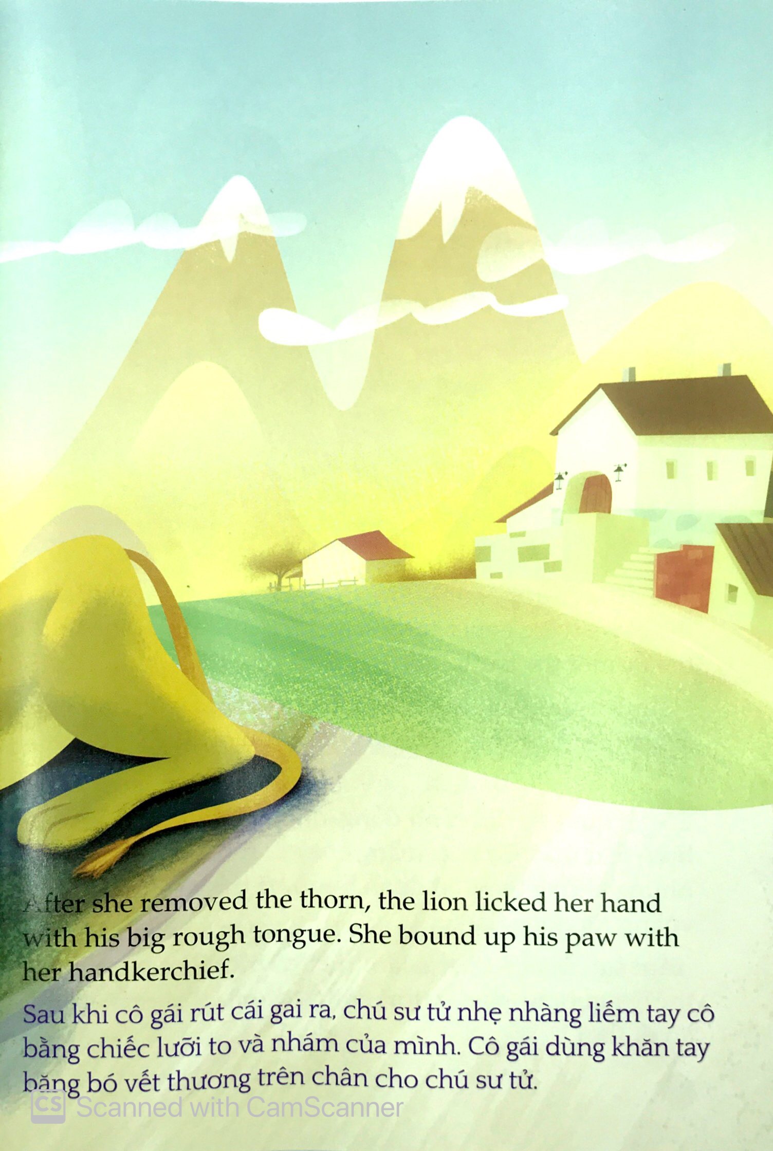 tủ sách túi khôn nhân loại - chú sư tử bị thương - Ảnh 5