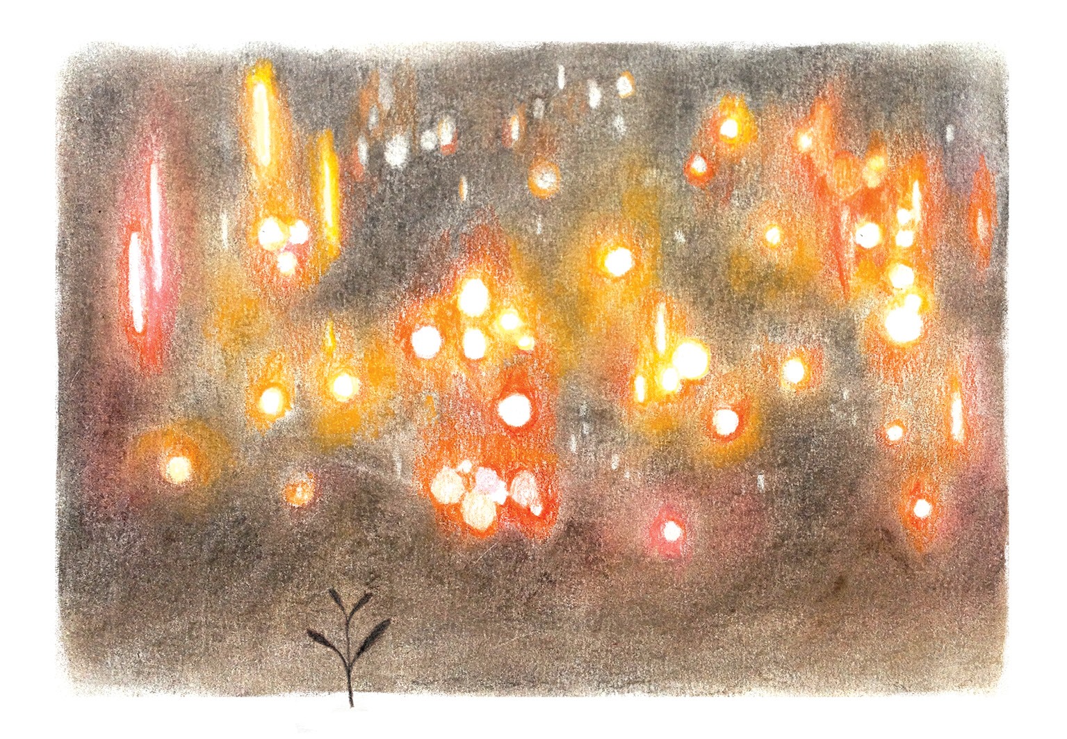 tủ sách tuổi mới lớn - cúc dại và tia nắng - Ảnh 7