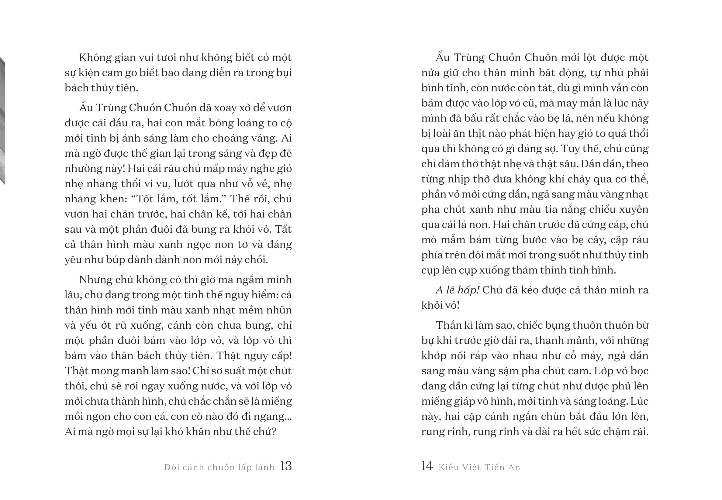 Tủ Sách Tuổi Thần Tiên - Đôi Cánh Chuồn Lấp Lánh - Ảnh 7