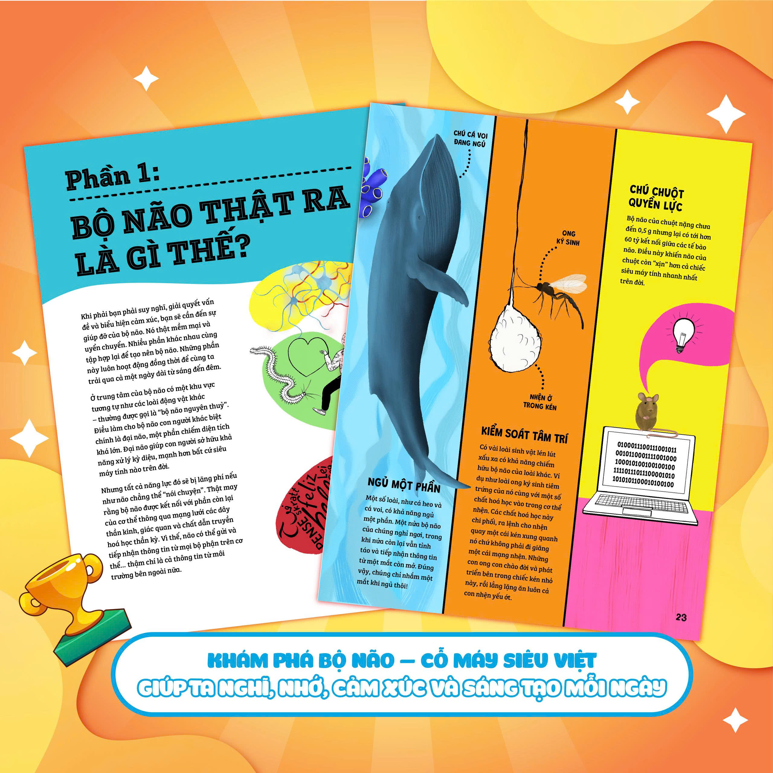 Tủ Sách Ươm Mầm Khoa Học - Não Bộ Biết Tuốt - Ảnh 3