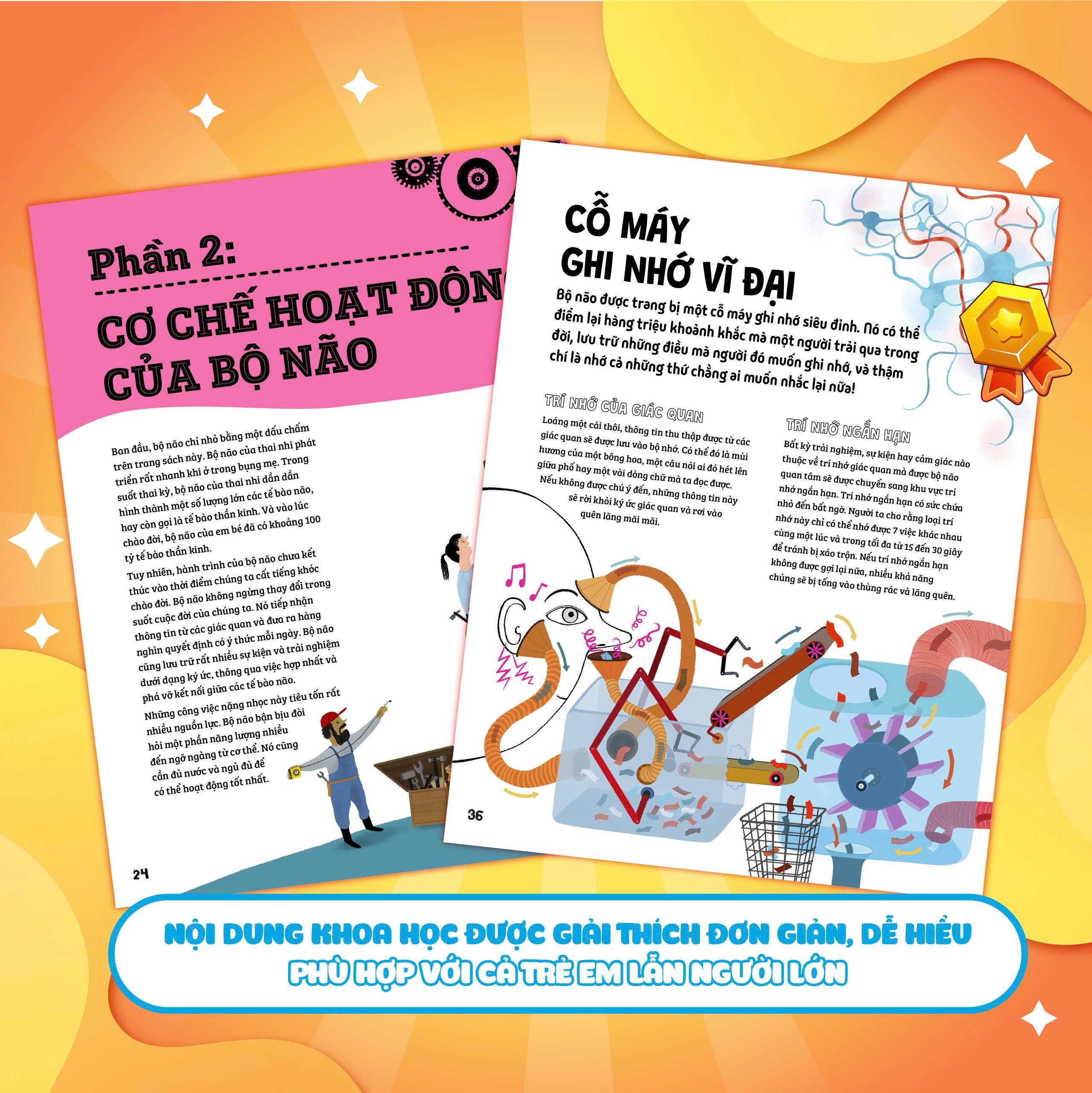 Tủ Sách Ươm Mầm Khoa Học - Não Bộ Biết Tuốt - Ảnh 4