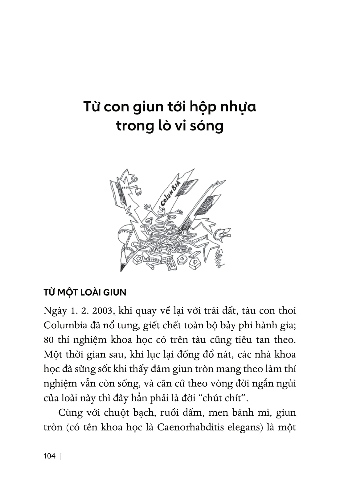 Từ Sự Mất Ngủ Của Ruồi - Ảnh 10