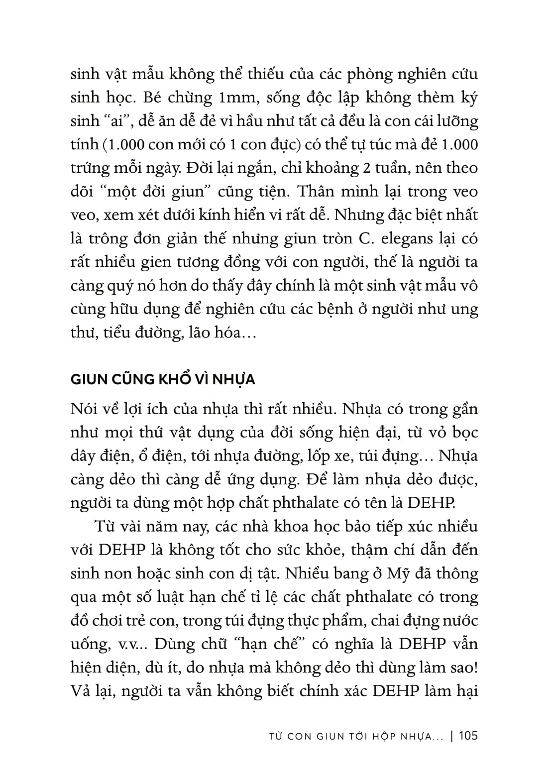 Từ Sự Mất Ngủ Của Ruồi - Ảnh 11