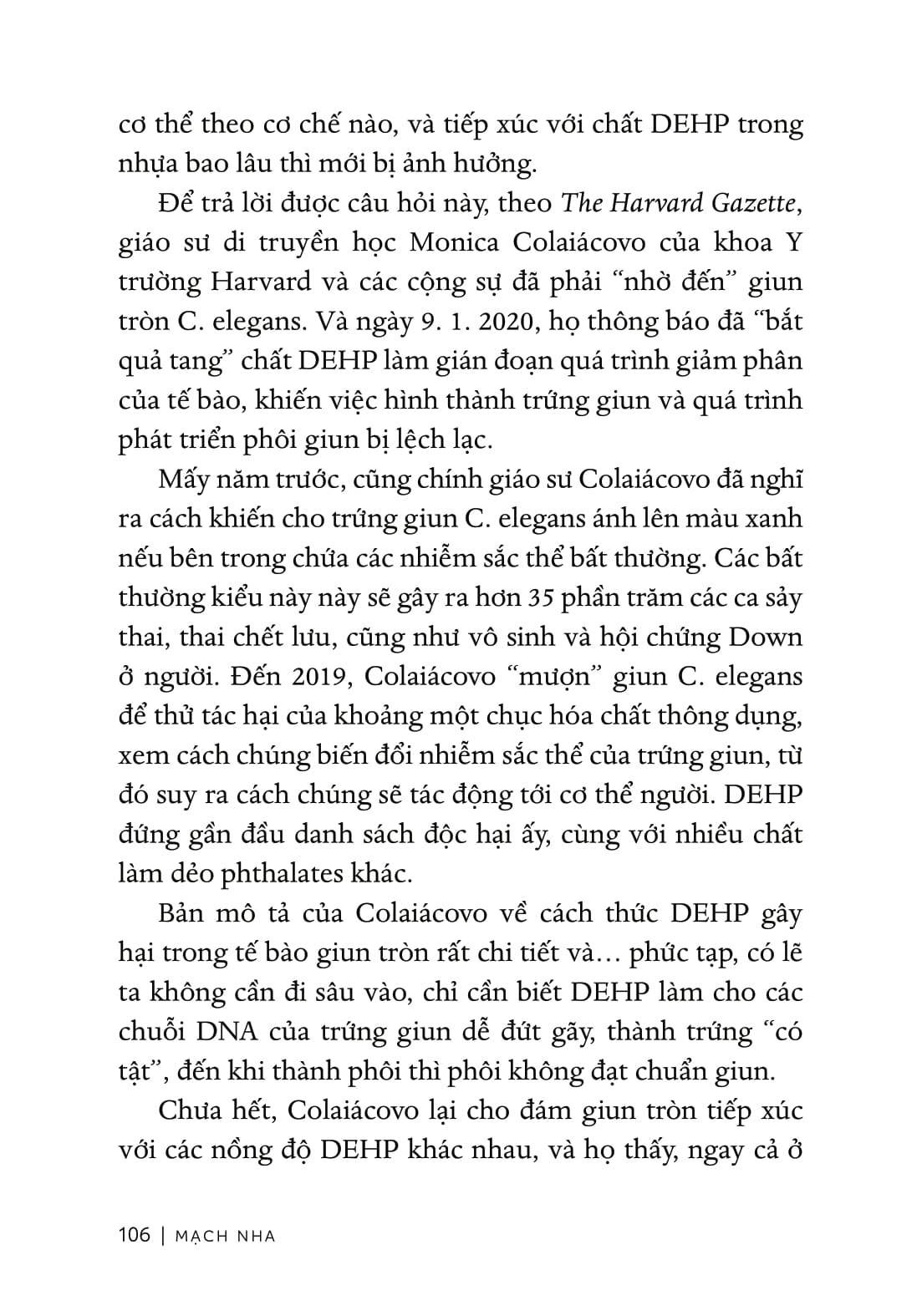 Từ Sự Mất Ngủ Của Ruồi - Ảnh 12