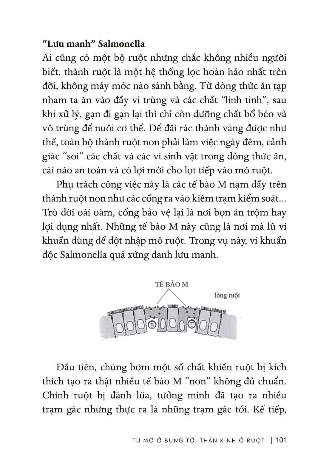 Từ Sự Mất Ngủ Của Ruồi - Ảnh 7