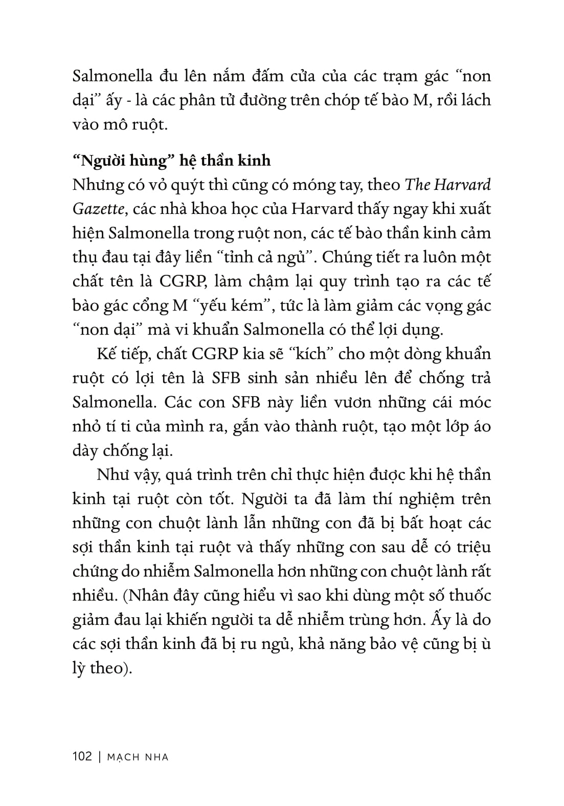 Từ Sự Mất Ngủ Của Ruồi - Ảnh 8