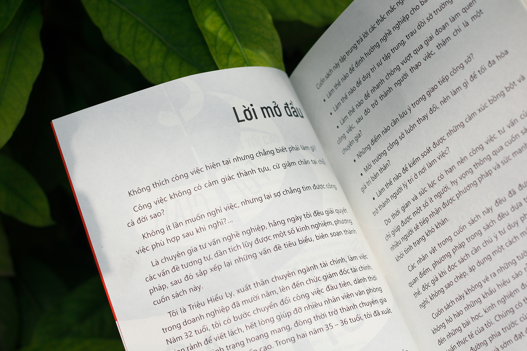 từ tối giản đến tối cao - chiến lược nghề nghiệp trong thời đại vuca - Ảnh 6