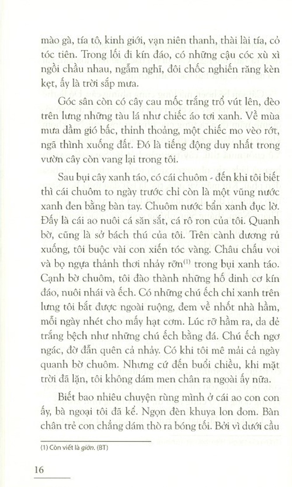 tự truyện - ấn bản kỉ niệm 100 năm tô hoài - Ảnh 9