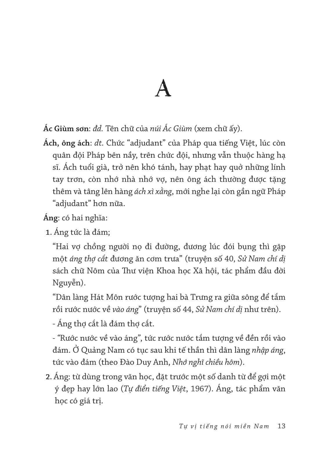 Tự Vị Tiếng Nói Miền Nam - Bìa Cứng - Ảnh 4