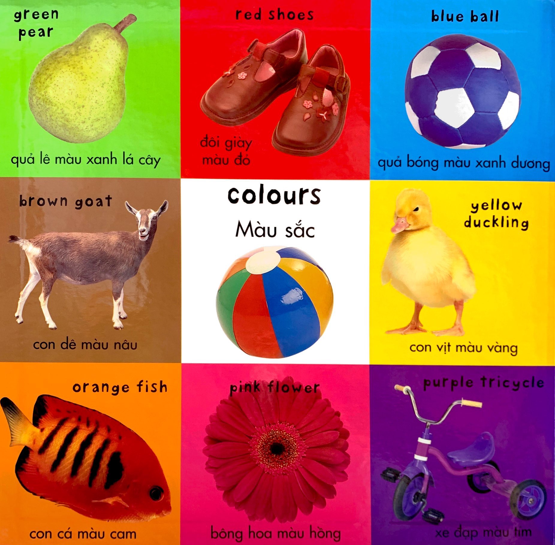 từ vựng đầu đời của bé - 100 từ vựng đầu tiên - Ảnh 3