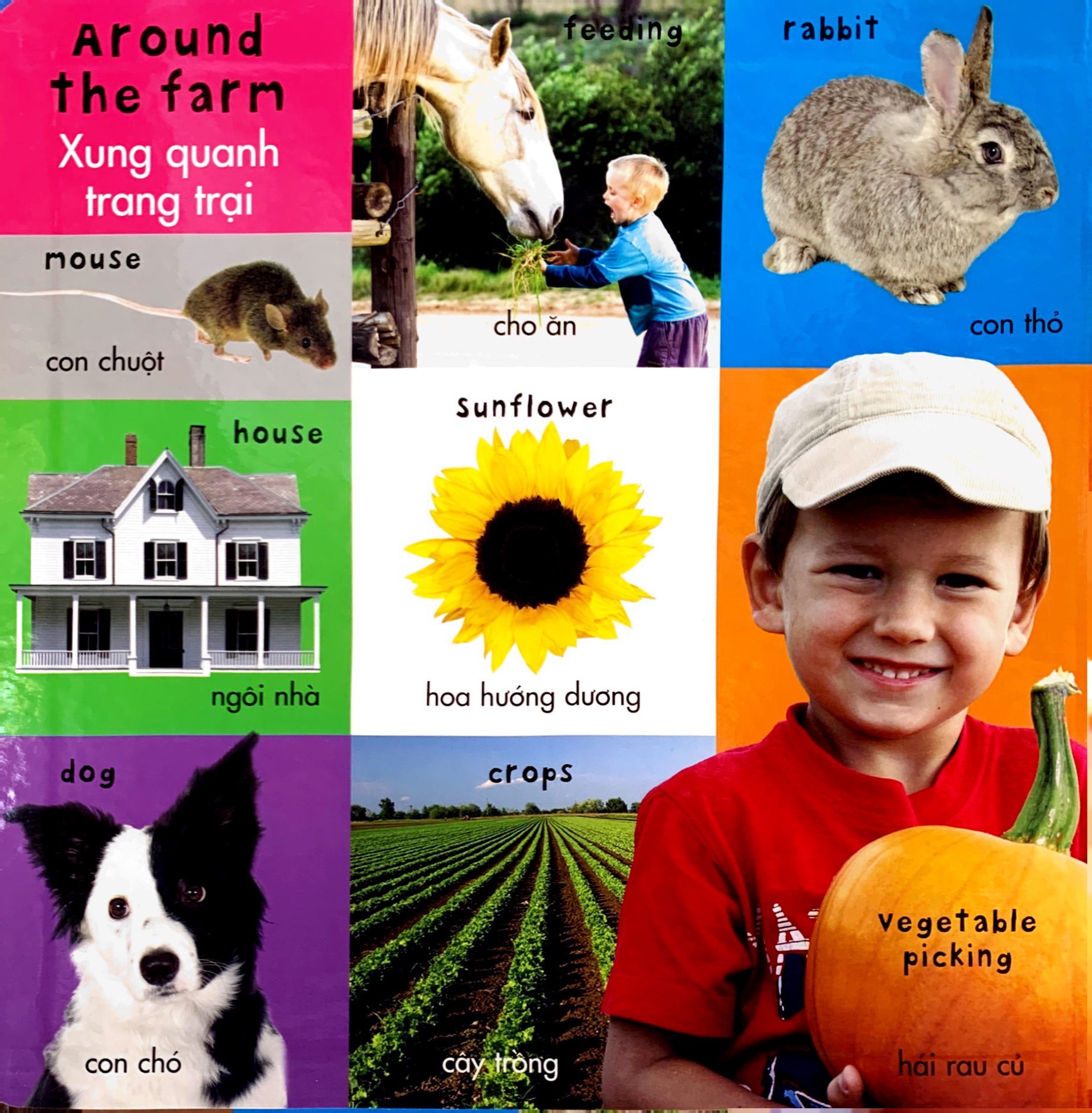 từ vựng đầu đời của bé - 100 từ vựng đầu tiên về trang trại - Ảnh 3