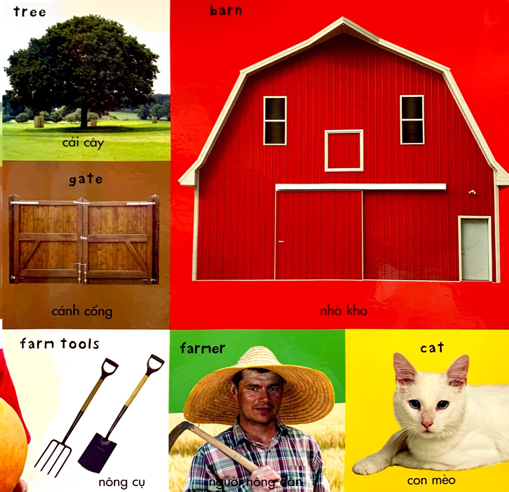 từ vựng đầu đời của bé - 100 từ vựng đầu tiên về trang trại - Ảnh 4