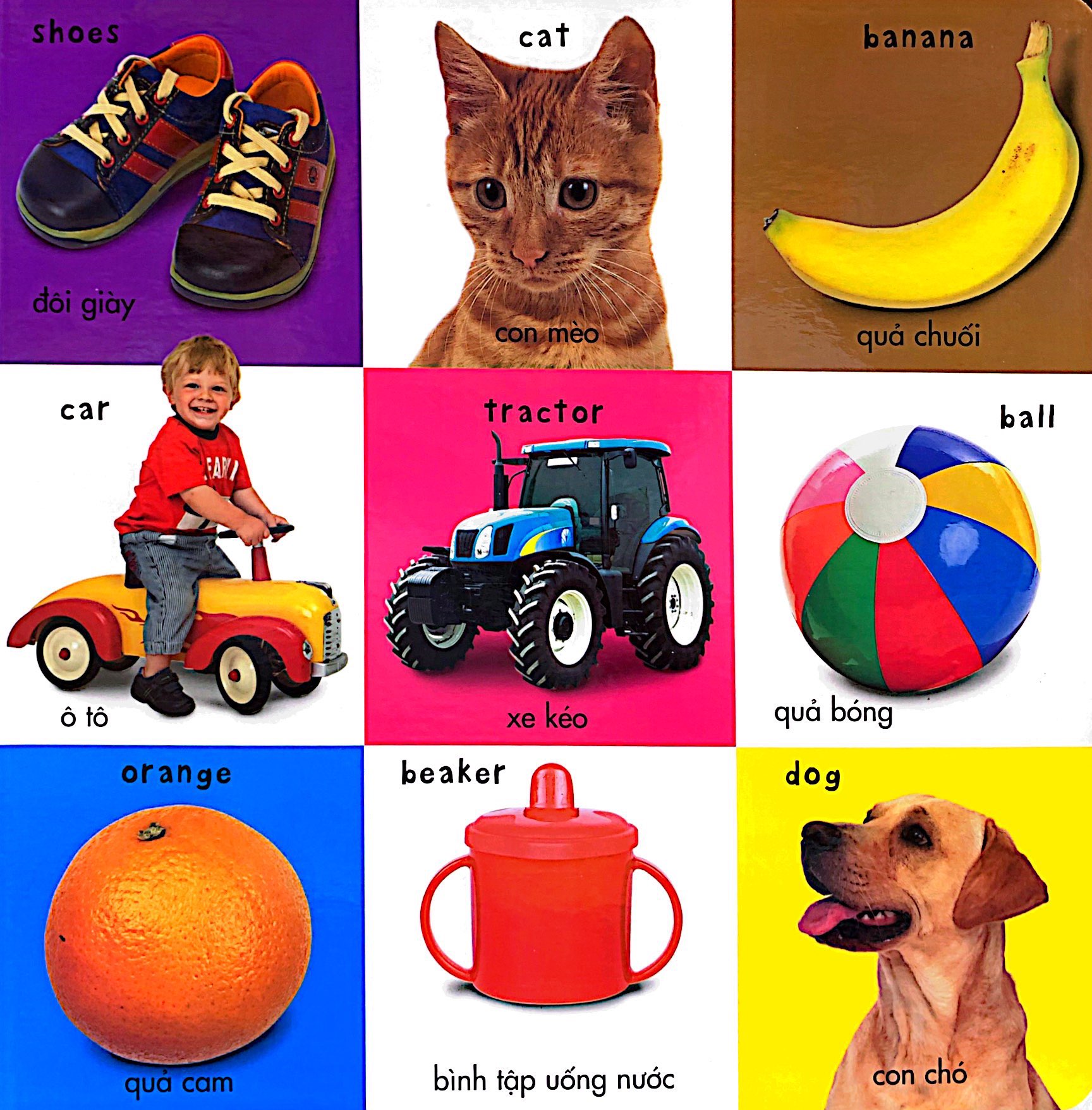 từ vựng đầu đời của bé - số đếm, màu sắc, hình dạng - Ảnh 4
