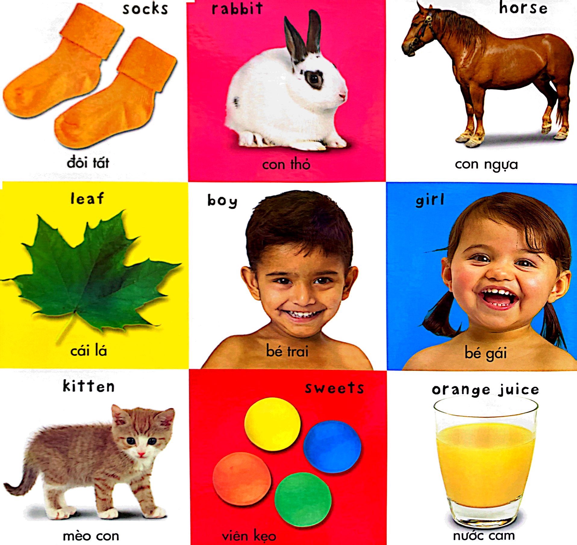 từ vựng đầu đời của bé - số đếm, màu sắc, hình dạng - Ảnh 5