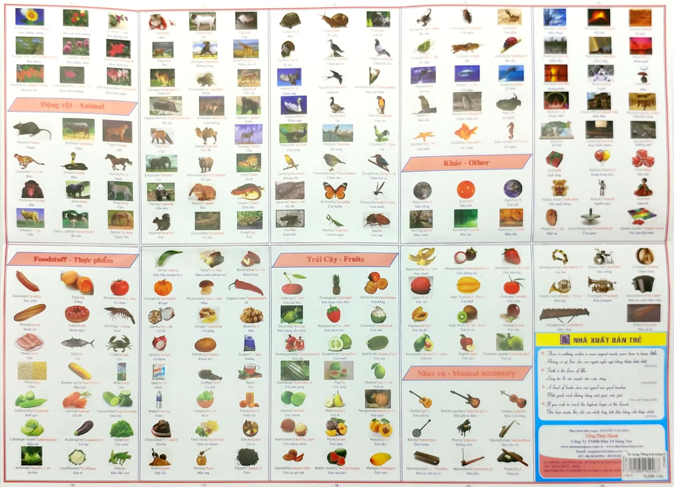 từ vựng tiếng anh bằng hình ảnh - Ảnh 5