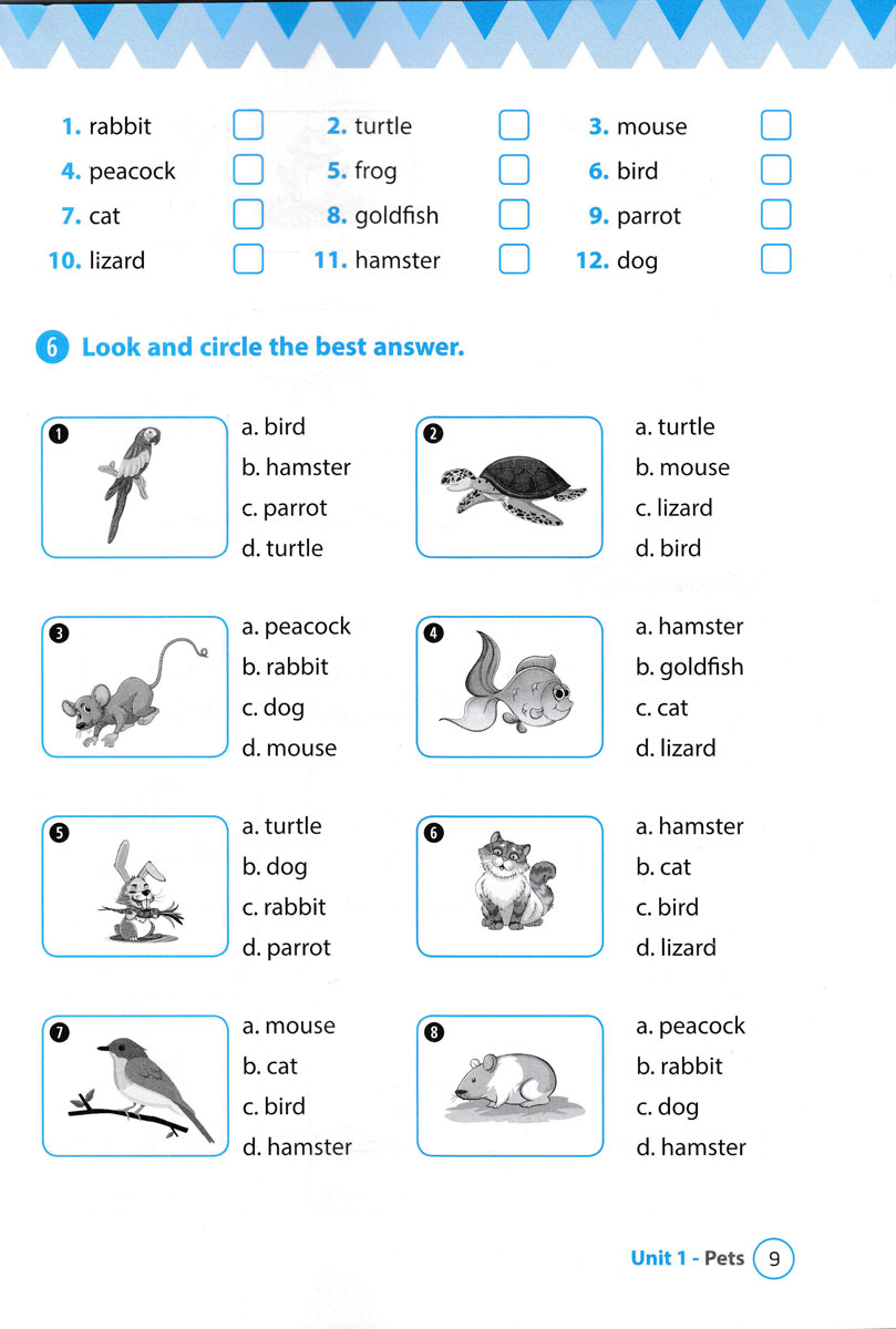 từ vựng tiếng anh theo chủ đề lớp 3 - Ảnh 10