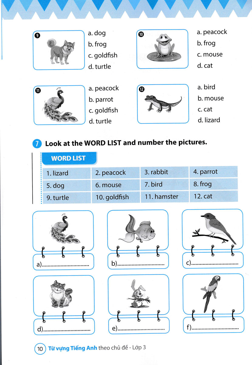 từ vựng tiếng anh theo chủ đề lớp 3 - Ảnh 11
