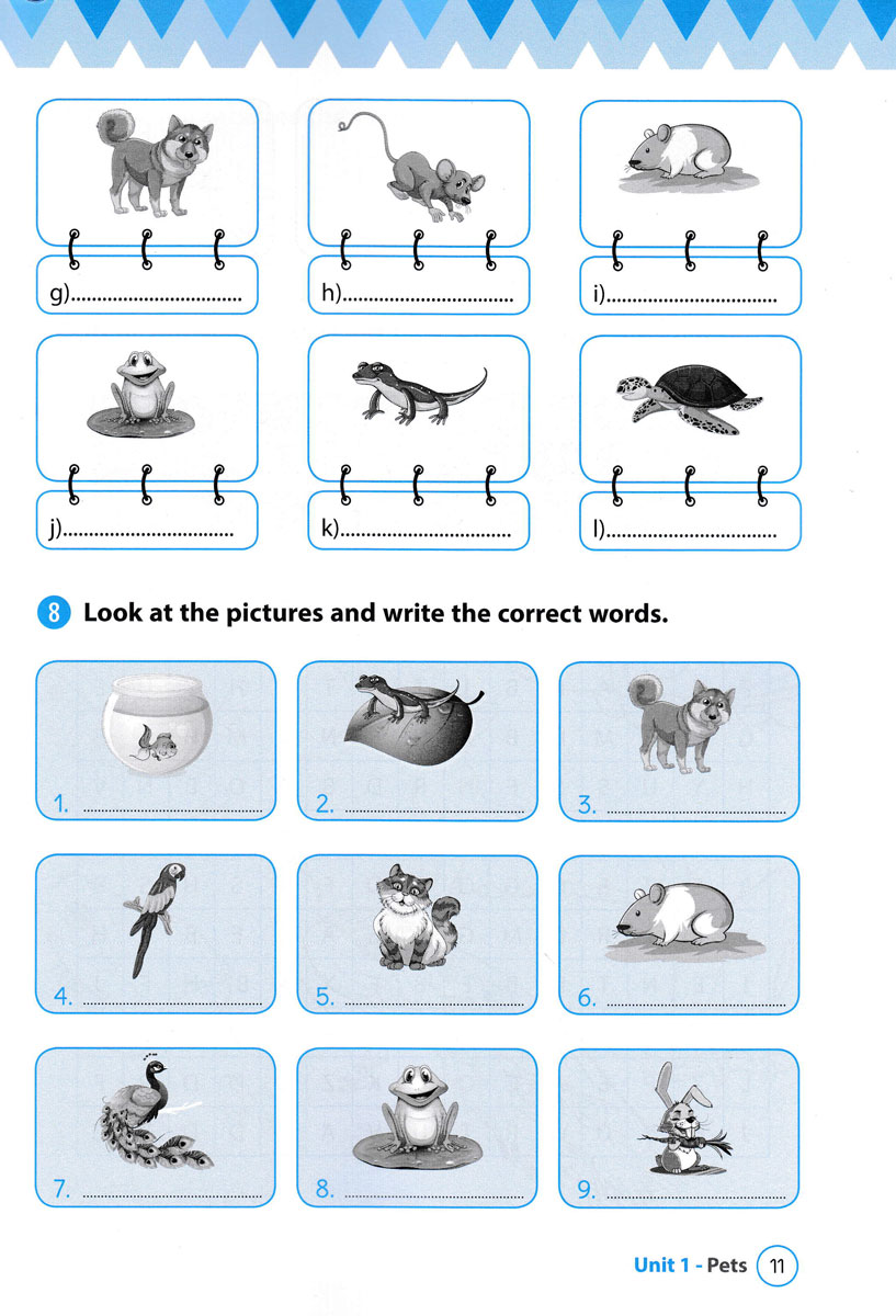 từ vựng tiếng anh theo chủ đề lớp 3 - Ảnh 12