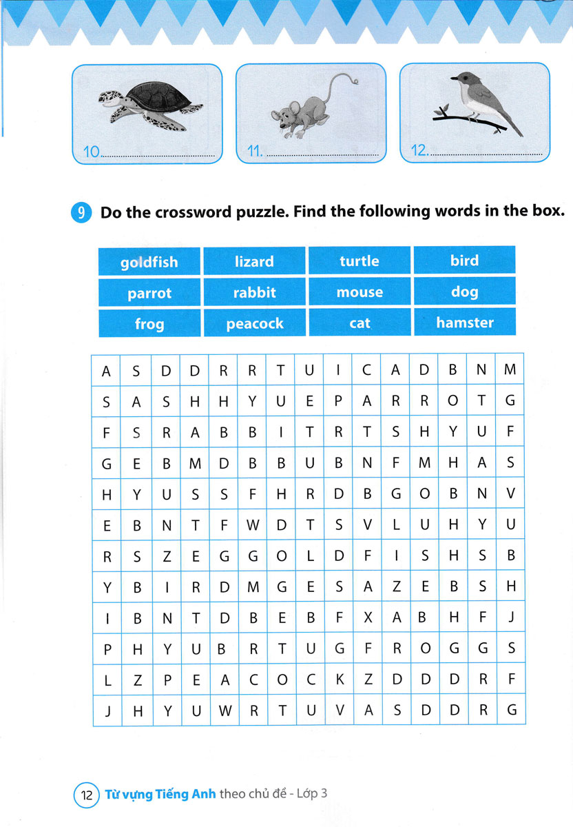 từ vựng tiếng anh theo chủ đề lớp 3 - Ảnh 13