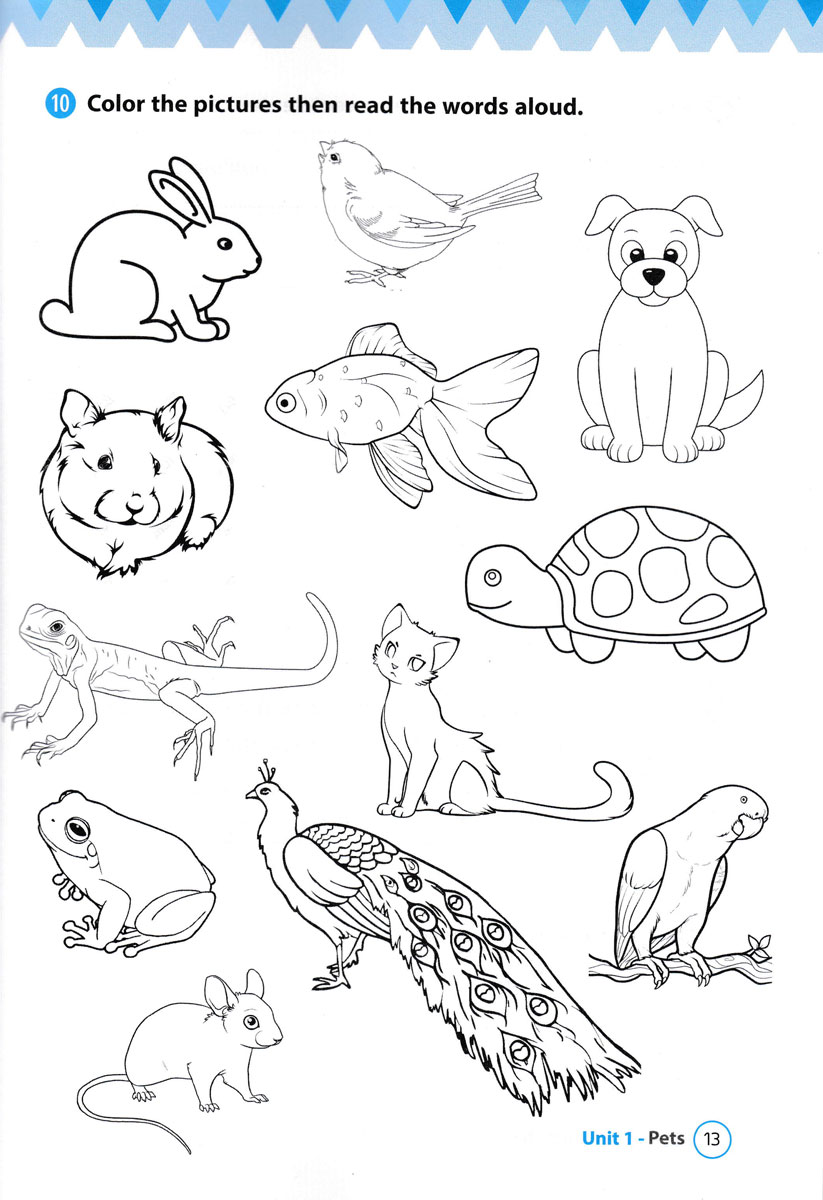 từ vựng tiếng anh theo chủ đề lớp 3 - Ảnh 14