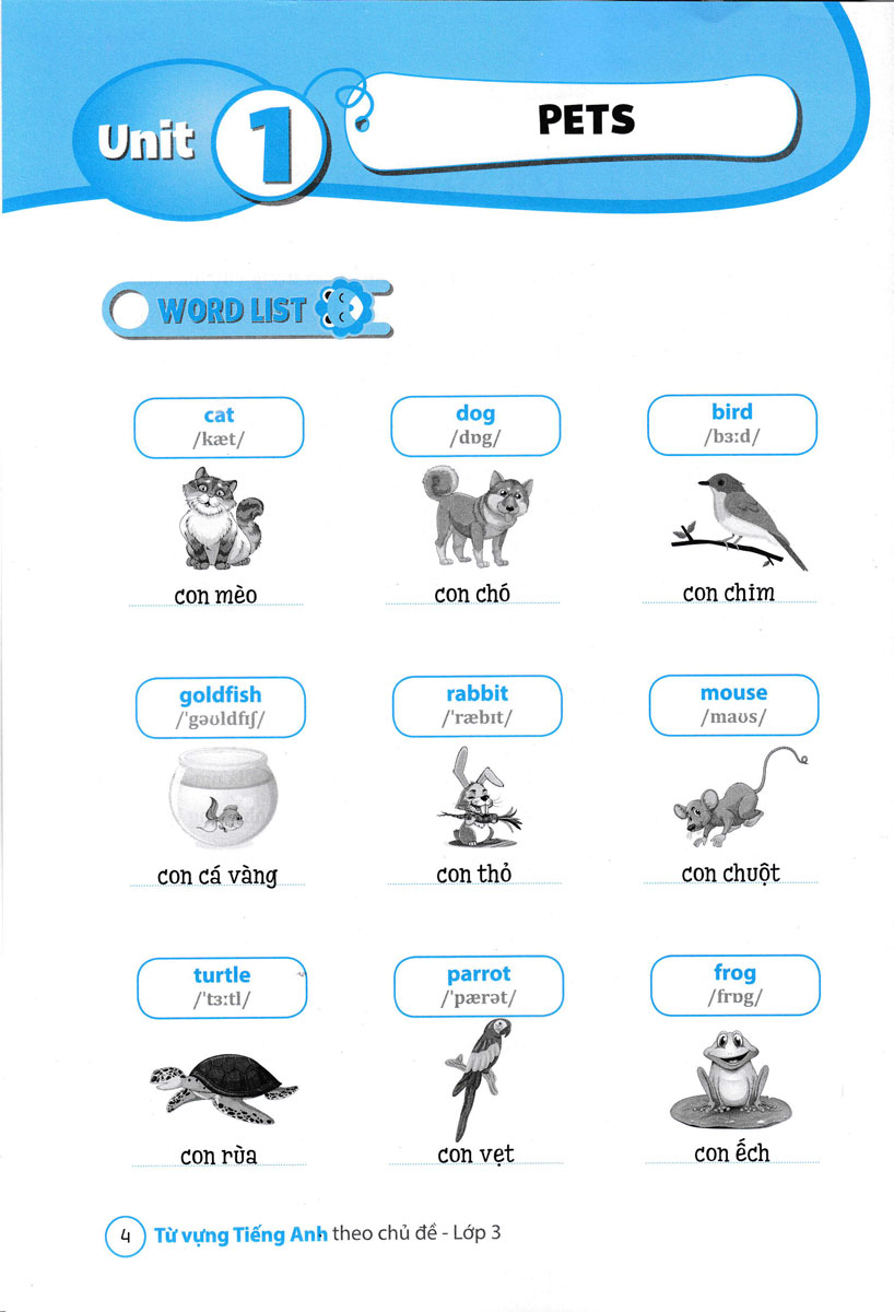 từ vựng tiếng anh theo chủ đề lớp 3 - Ảnh 5