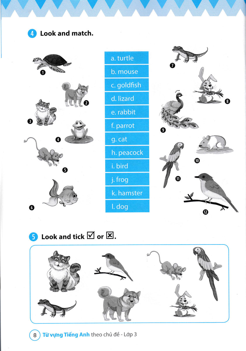 từ vựng tiếng anh theo chủ đề lớp 3 - Ảnh 9