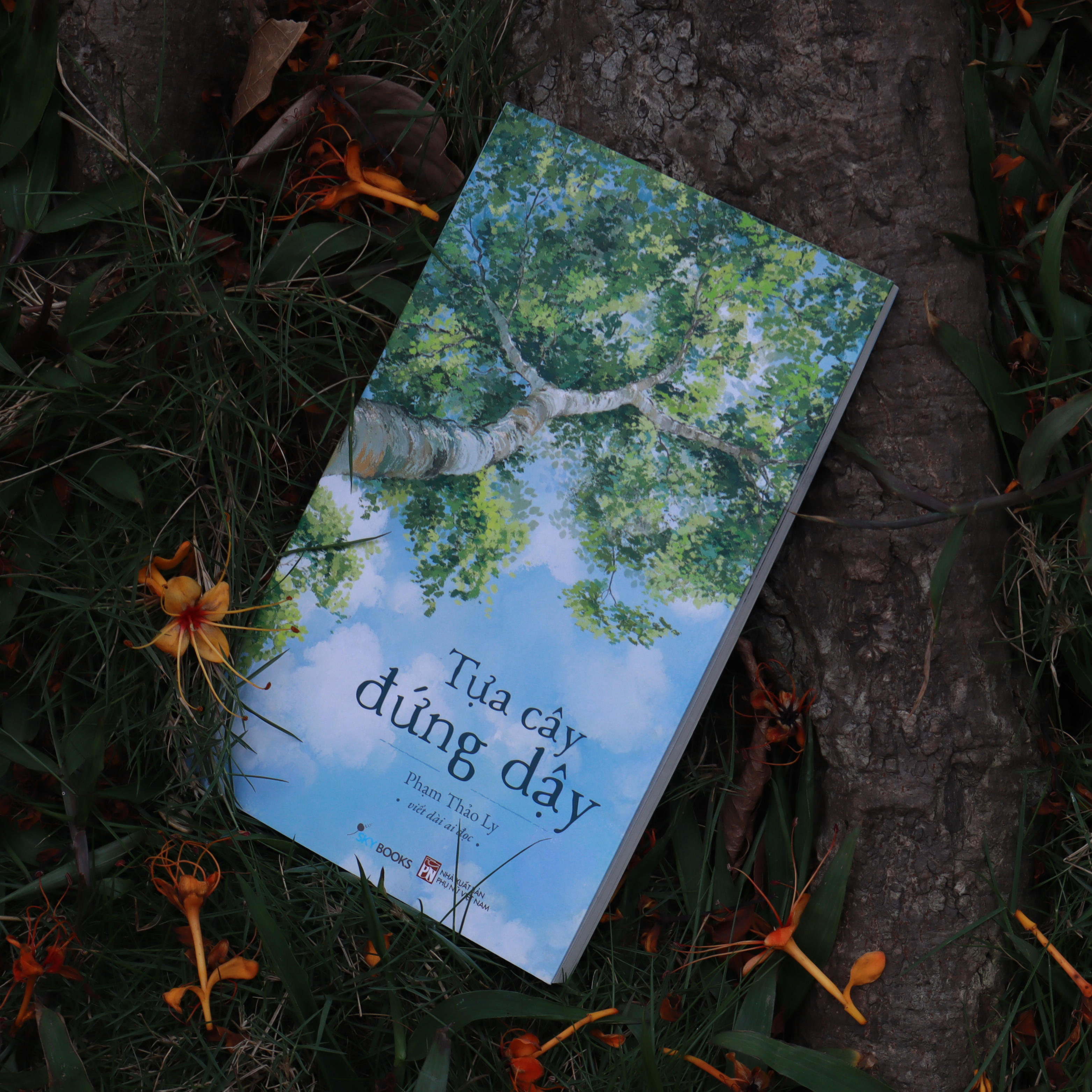 Tựa Cây Đứng Dậy - Ảnh 3