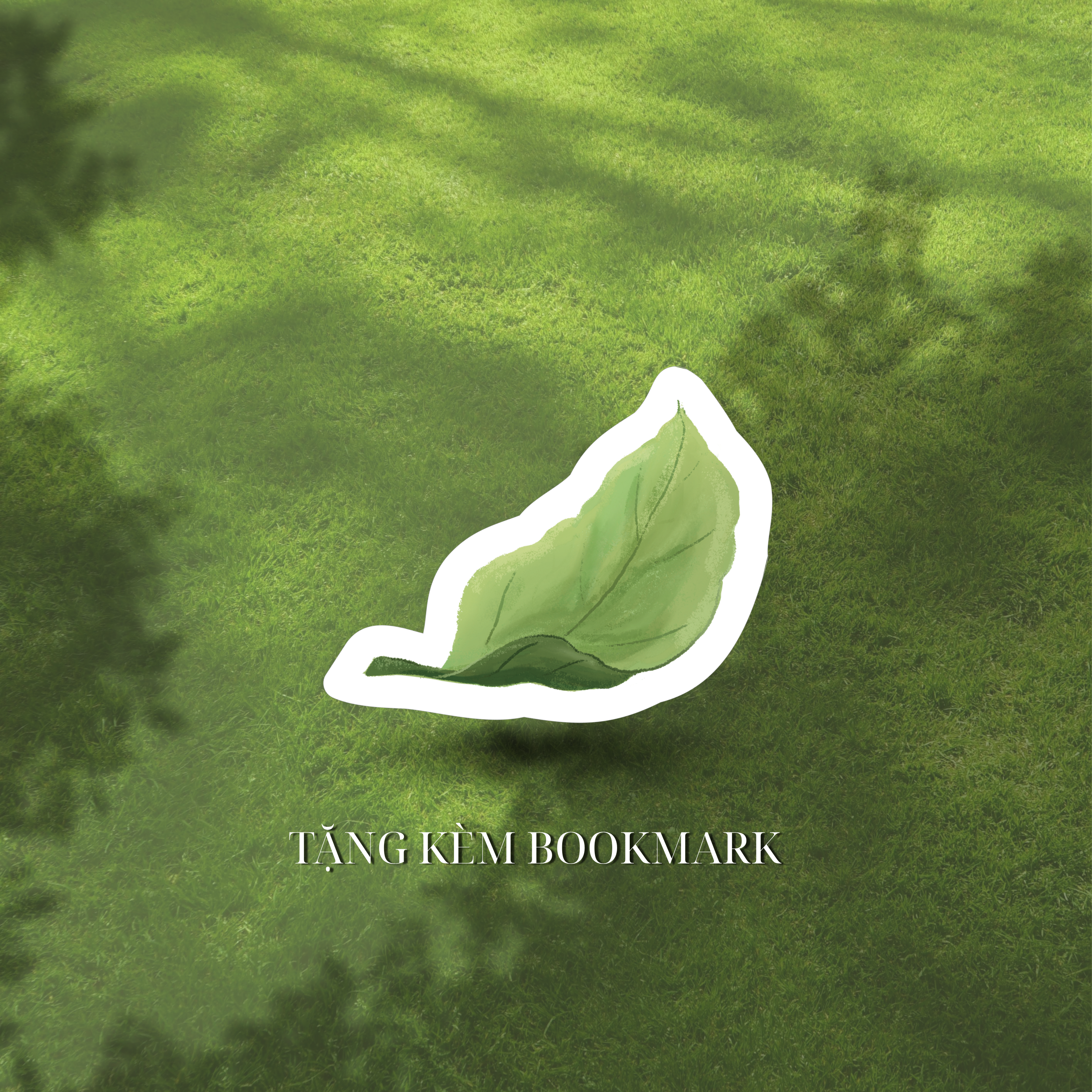 Tựa Cây Đứng Dậy - Ảnh 5