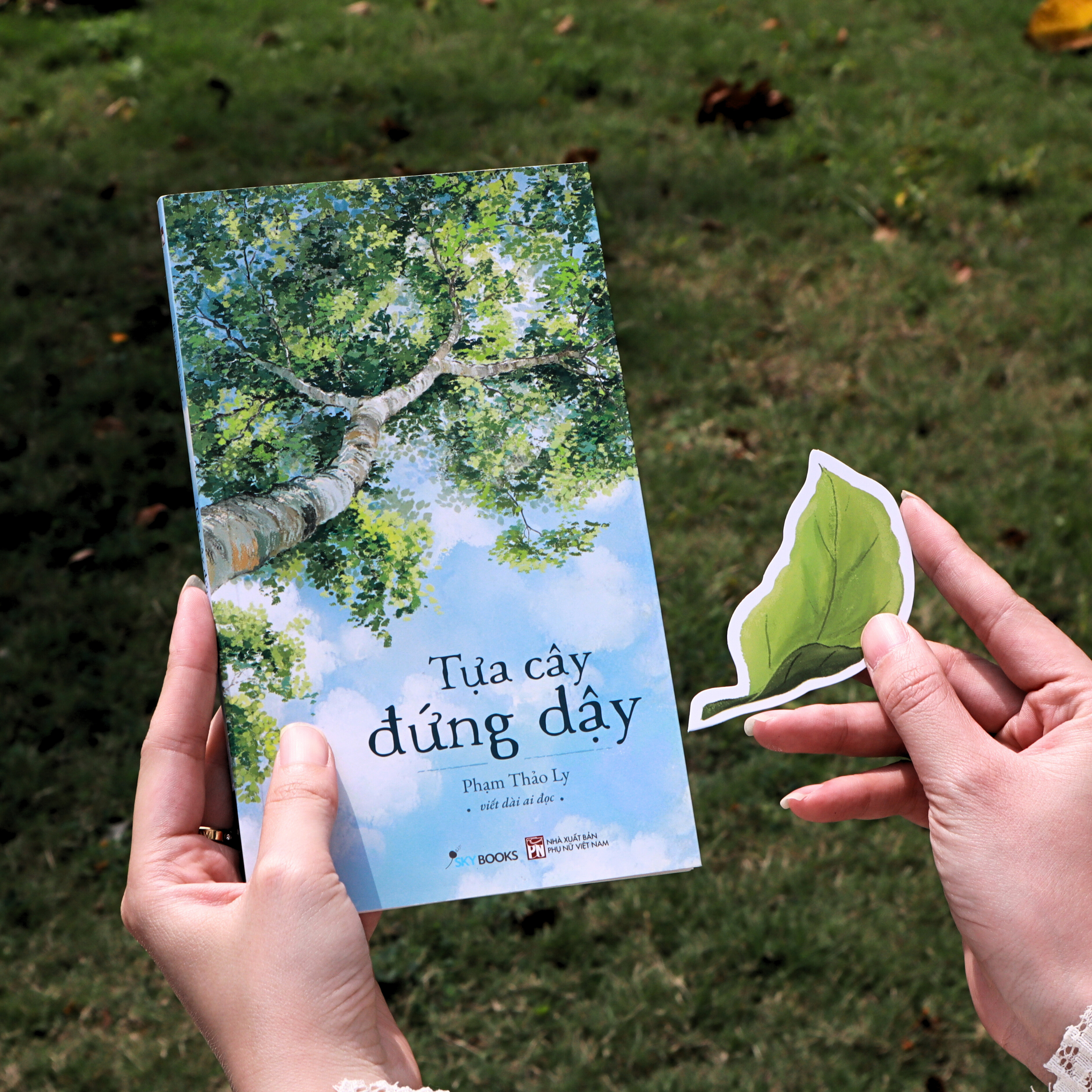 Tựa Cây Đứng Dậy - Ảnh 6