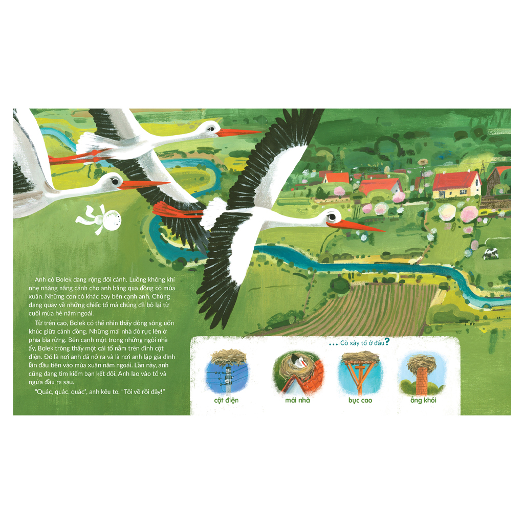 tuli tuli kể chuyện nhà ai ở đâu - nhà chim trên đồng cỏ - Ảnh 3