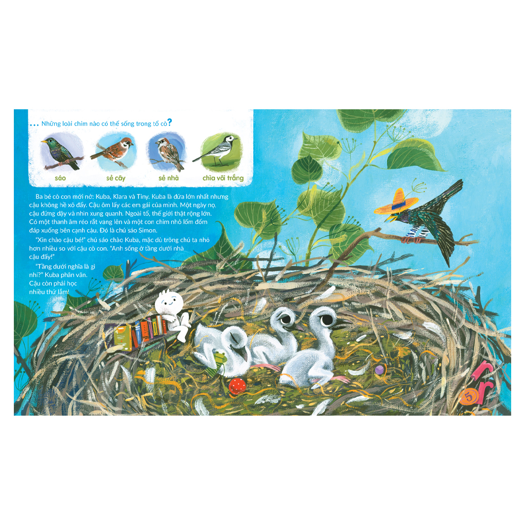 tuli tuli kể chuyện nhà ai ở đâu - nhà chim trên đồng cỏ - Ảnh 4