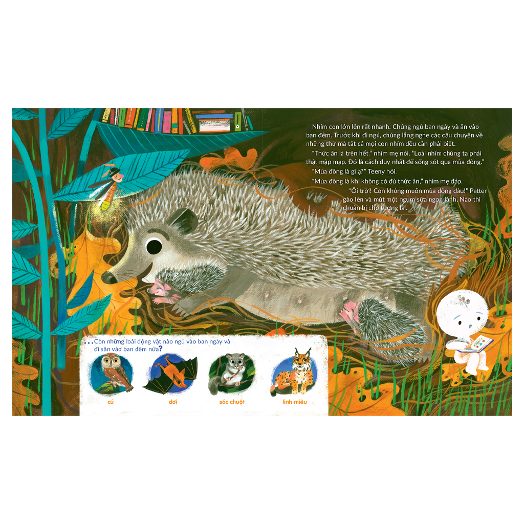 tuli tuli kể chuyện nhà ai ở đâu - nhà nhím nơi công viên - Ảnh 4