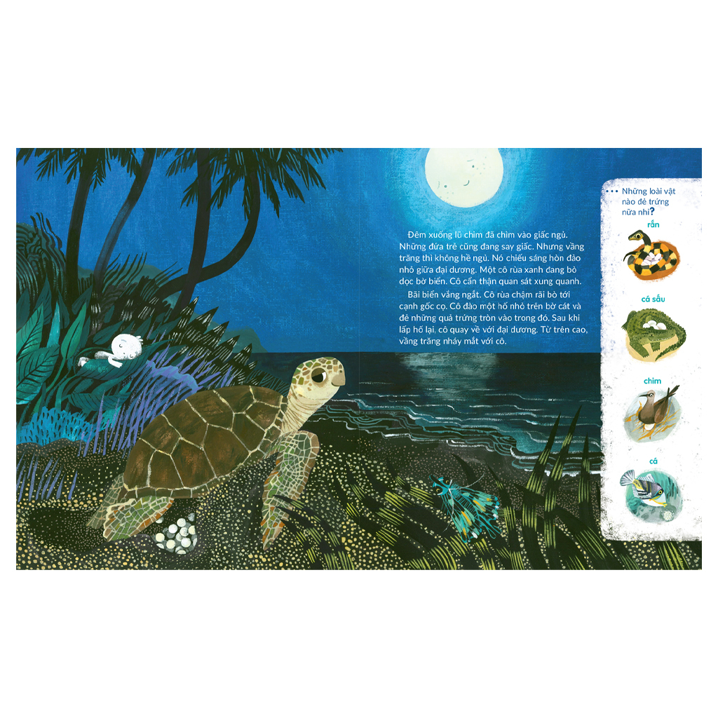 tuli tuli kể chuyện nhà ai ở đâu - nhà rùa dưới đại dương - Ảnh 3