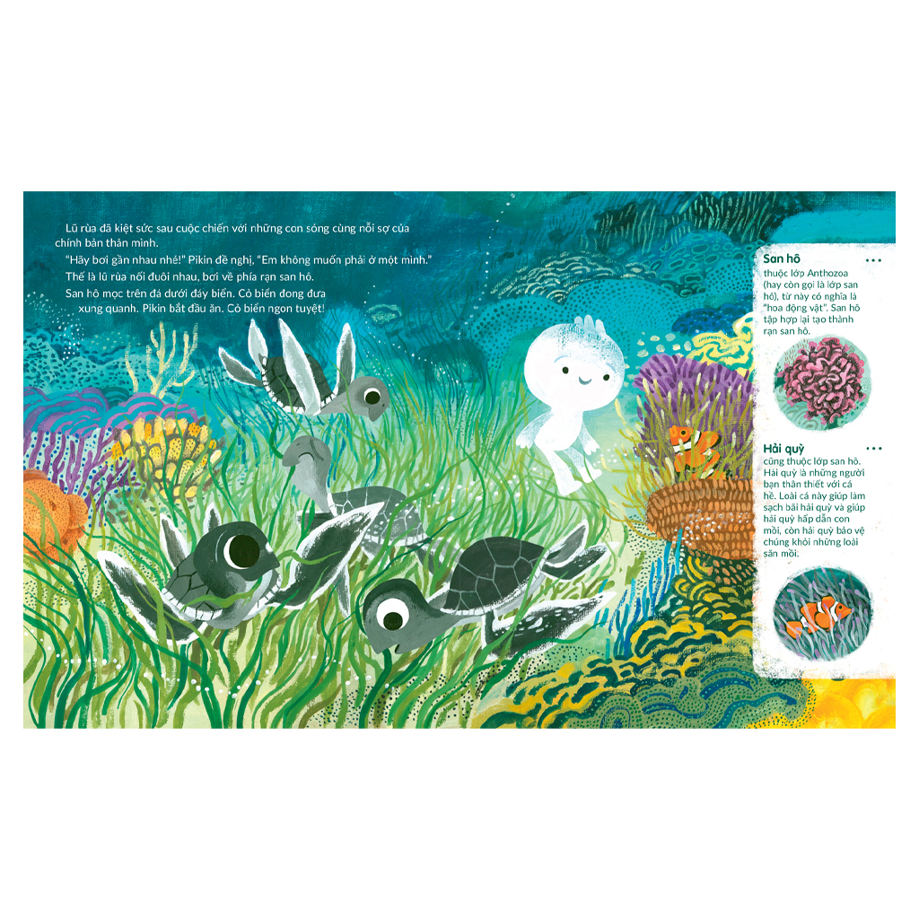 tuli tuli kể chuyện nhà ai ở đâu - nhà rùa dưới đại dương - Ảnh 4