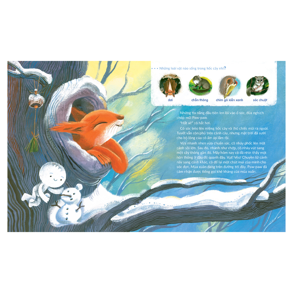 tuli tuli kể chuyện nhà ai ở đâu - nhà sóc trong rừng sâu - Ảnh 3