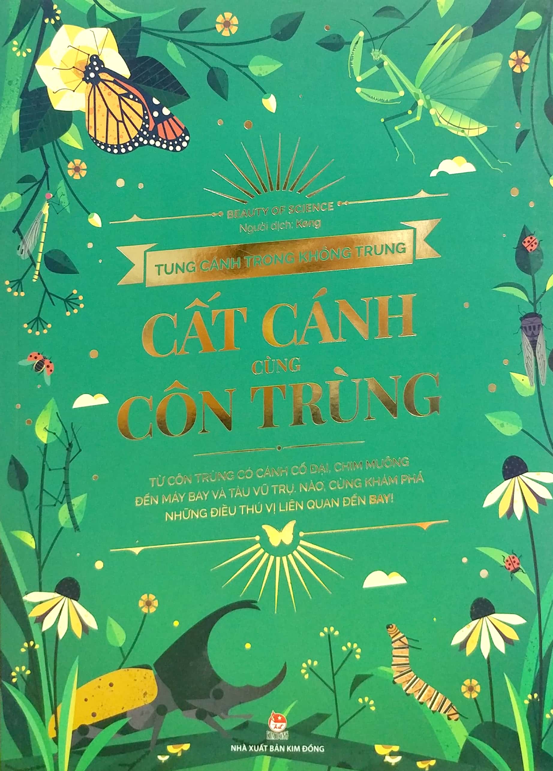 tung cánh trong không trung - cất cánh cùng côn trùng - Ảnh 2