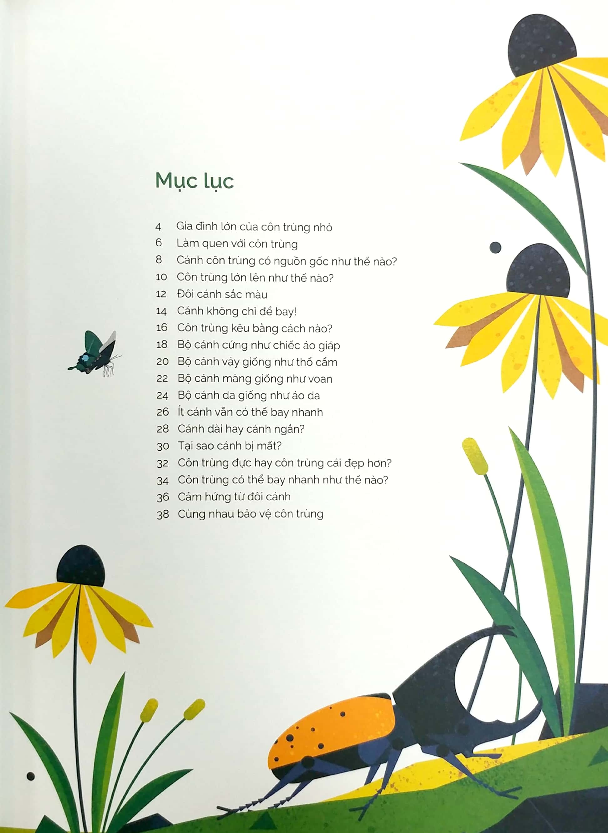 tung cánh trong không trung - cất cánh cùng côn trùng - Ảnh 3