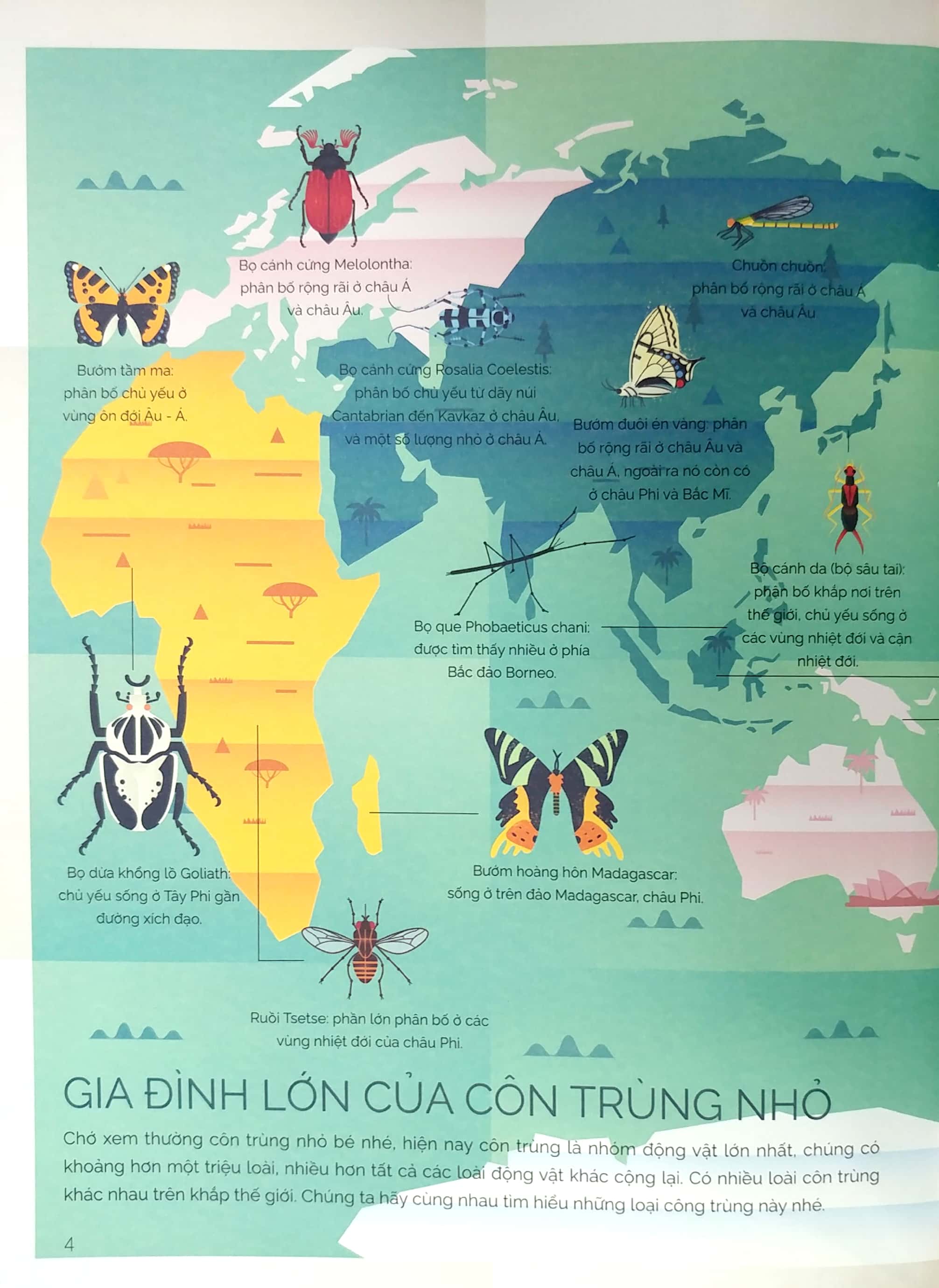 tung cánh trong không trung - cất cánh cùng côn trùng - Ảnh 4